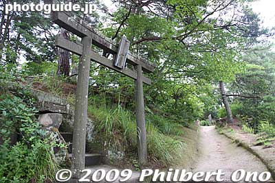 Torii to a shrine on Ojima island, Matsushima
Keywords: miyagi matsushima-machi nihon sankei scenic trio pine trees islands