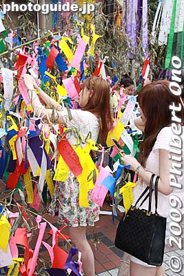 Perhaps she wished for a rich husband.
Keywords: miyagi sendai tanabata matsuri star festival decorations 