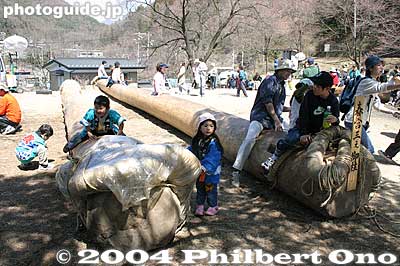 The logs will rest here for about a month until early May when they will be hauled to the shrines for the Satobiki erection.
Keywords: nagano shimosuwa-machi onbashira-sai matsuri festival log