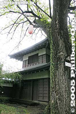 This birch tree is a Natural Monument
Keywords: nagano prefecture suwa takashima castle garden