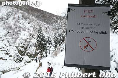 No selfie sticks.
Keywords: nagano yamanouchi-machi snow monkeys onsen hot spring jigokudani yaen park