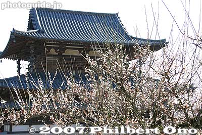 Keywords: nara ikaruga-cho horyuji temple Buddhist Shotoku-shu world heritage site National Treasure