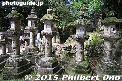 Stone lanterns leading to Kasuga Taisha Shrine.
Keywords: nara kasuga taisha japanshrine