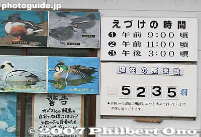 Duck species in the lake and the number of birds so far.
Keywords: niigata agano lake ducks swans wildlife