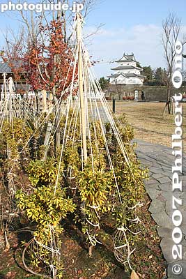 Shibata Castle is the only castle in Niigata with Edo-era structures still standing.
Keywords: niigata shibata castle park