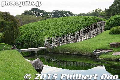 Large azalea bush
Keywords: okayama korakuen garden