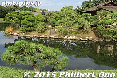 Pine trees and pond
Keywords: okayama korakuen garden