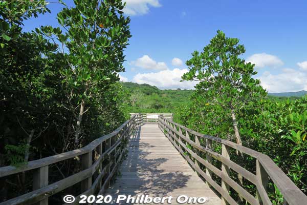 These mangroves are a National Natural Monument.
Keywords: okinawa Iriomote Otomi mangrove
