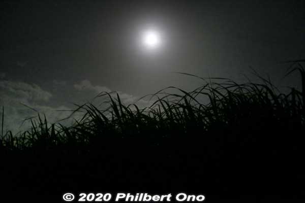 Almost full moon above Iriomote.
Keywords: okinawa Iriomote stargazing