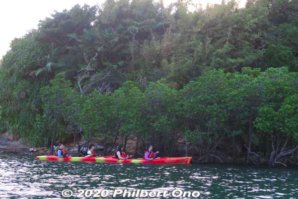 After the sunrise, we paddled along the mangroves on the river's edge.
Keywords: okinawa Iriomote Maira River sunrise kayak canoe japanriver