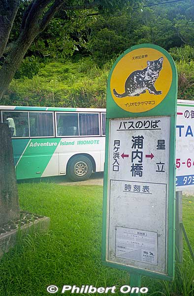 Bus stop (Urauchihashi) for the Urauchi River boat dock. In the background is our tour bus.
Keywords: okinawa Iriomote urauchi river waterfall hike
