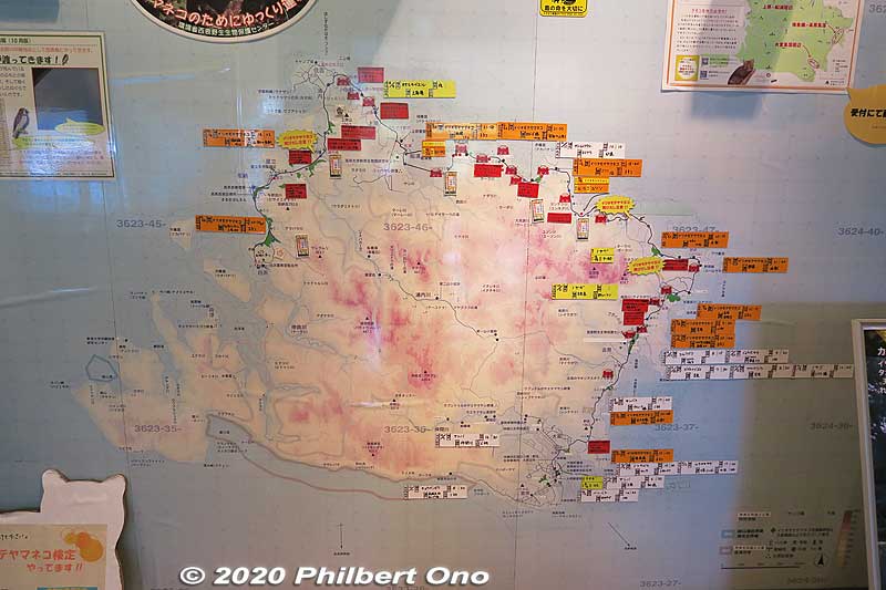 Iriomote map shows where the Iriomote wildcat was sighted (orange tags with date and time) and roadkill locations (red tags). People need to drive carefully.
If you see an injured or dead Iriomote wildcat, call 0980-85-5581.
Keywords: okinawa iriomote Wildlife Conservation Center