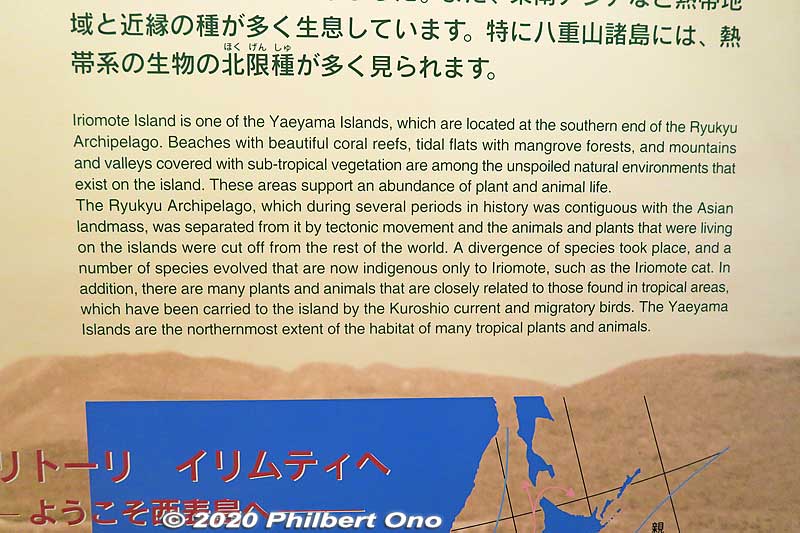 About Iriomote's wildlife.
Keywords: okinawa iriomote Wildlife Conservation Center