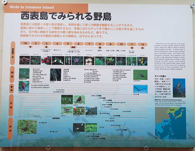 Keywords: okinawa iriomote Wildlife Conservation Center