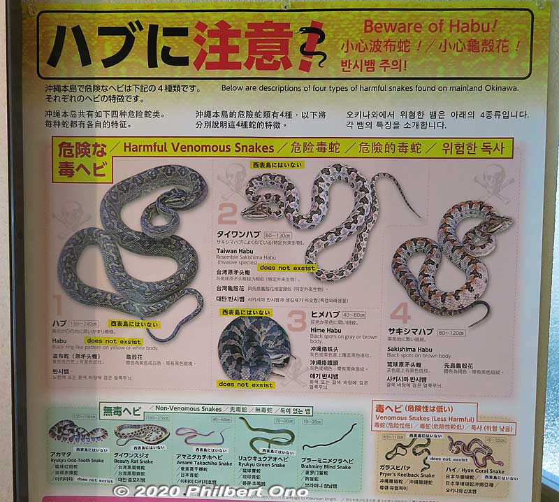 About habu snakes (venomous).
Keywords: okinawa iriomote Wildlife Conservation Center