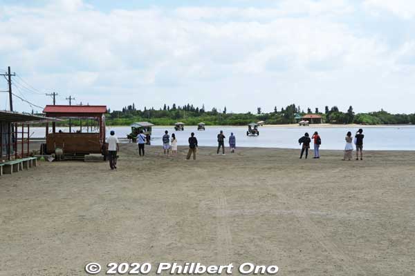We ride these water buffalo carts to the island across shallow water. 
Keywords: okinawa Iriomote yubu island
