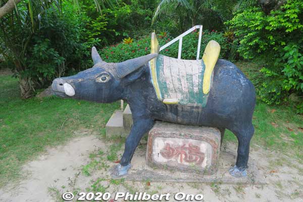 Lots of water buffalo sculptures on Yubu.
Keywords: okinawa Iriomote yubu island