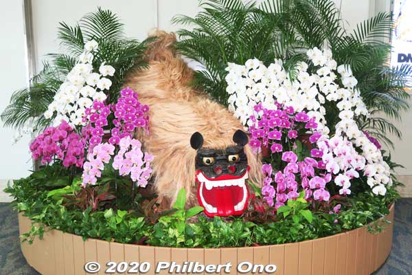 Orchids and shishi lion inside Naha Airport. 胡蝶蘭
Keywords: okinawa naha airport