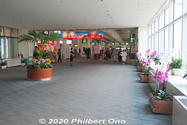 Orchids on the concourse to the gates.
Keywords: okinawa naha airport