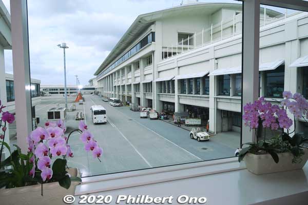 Orchids on the concourse to the gates at Naha Airport.
Keywords: okinawa naha airport