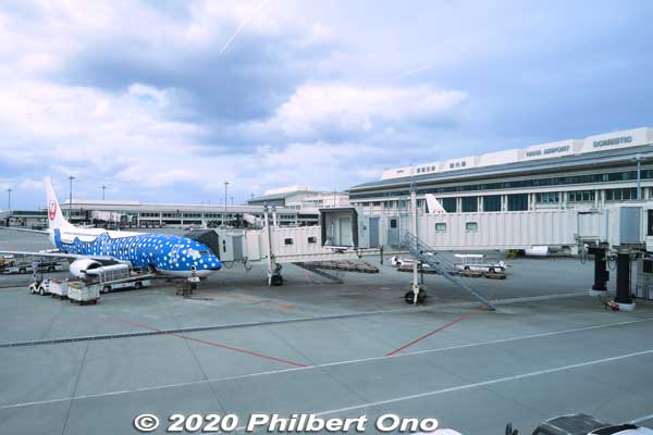 Japan Transocean Air (JTA) Boeing 737-800 plane painted like a whale shark (blue). There's a pink one too. It's advertising the Churaumi Aquarium which has a whale shark. ジンベエ ジェット
Keywords: okinawa naha airport