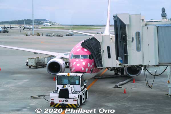 Pink whale shark Japan Transocean Air (JTA) Boeing 737-800 plane at Naha Airport.
Keywords: okinawa naha airport boeing 737 plane