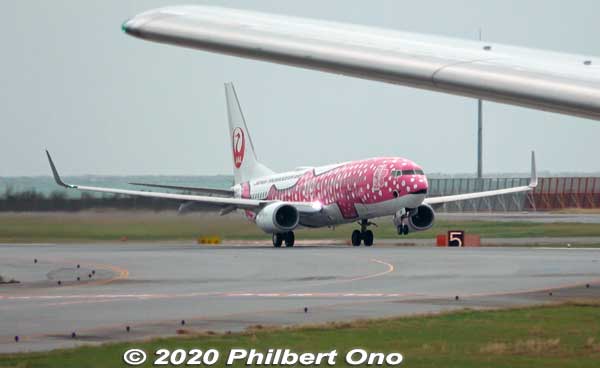 Pink whale shark Japan Transocean Air (JTA) Boeing 737-800 plane taking off from Naha Airport.
Keywords: okinawa naha airport boeing 737 plane