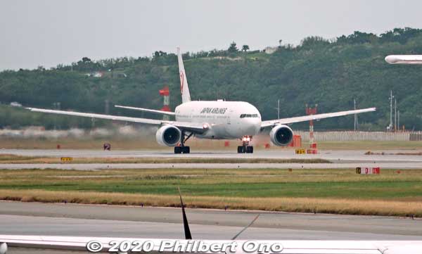 Japan Airlines Boeing 777-200 taking off from Naha Airport.
Keywords: okinawa naha airport boeing plane