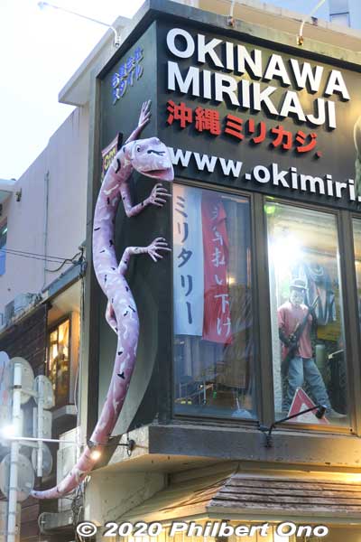 Lizard on Kokusai-dori.
Keywords: Okinawa Naha Kokusai-dori shopping road