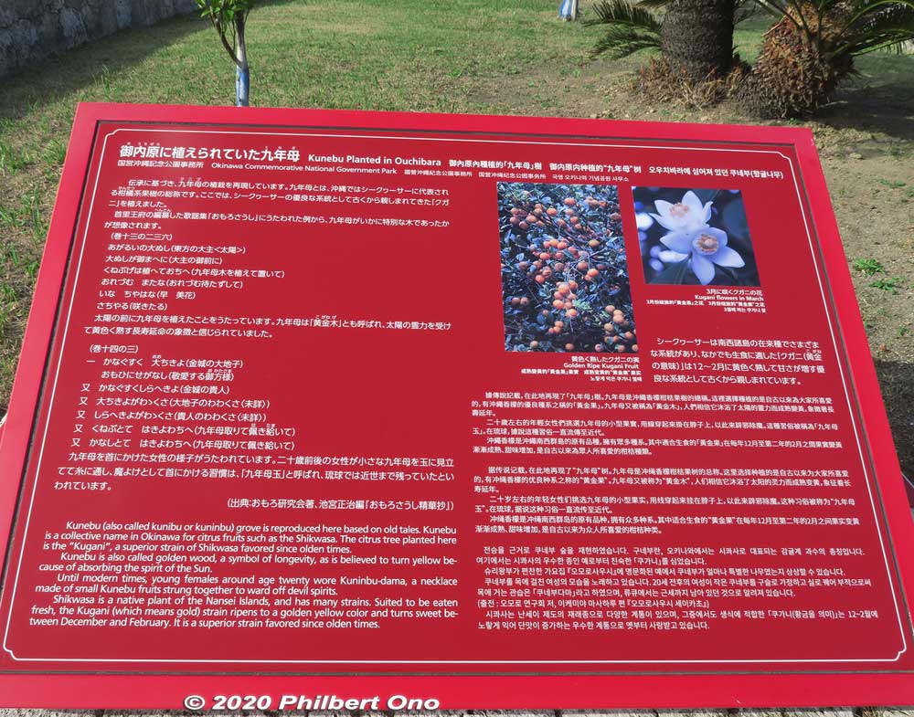 About the kunebu citrus plants.
Keywords: okinawa naha shuri shurijo castle gusuku