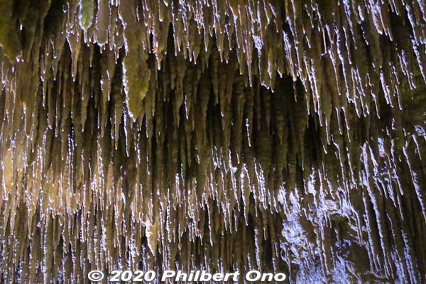 "Ceiling of Spears" 槍天井
Keywords: okinawa nanjo world gyokusendo cave cavern
