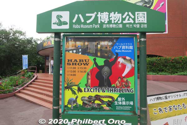 Habu Museum Park is another major attraction of Okinawa World. Habu is a  venomous pit viper endemic to the Okinawan and Amami islands. There are a number of species.
Keywords: okinawa nanjo world habu snake viper