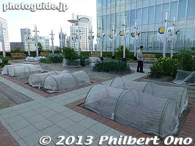 Rooftop garden for rent.
Keywords: osaka train station