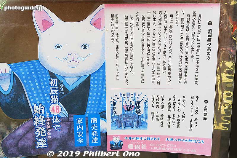 About Hattatsu worship. 住吉大社 初辰まいり
Keywords: osaka Sumiyoshi Taisha jinja shrine new year cat