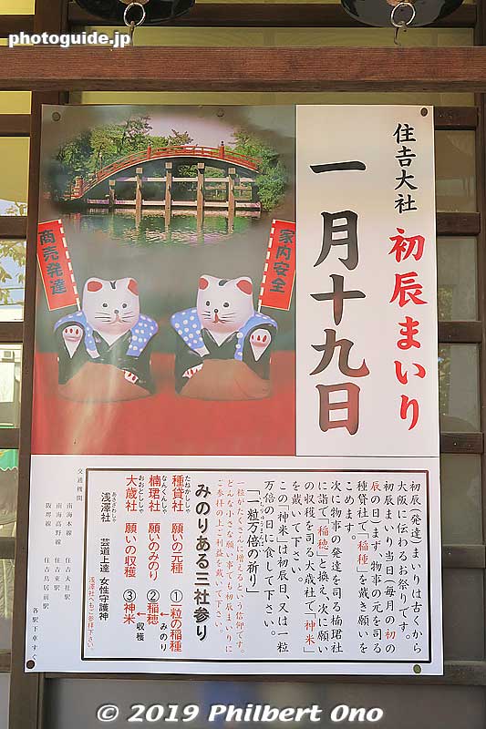 About Hattatsu worship. 住吉大社 初辰まいり
Keywords: osaka Sumiyoshi Taisha jinja shrine new year cat