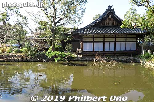 Keywords: osaka Sumiyoshi Taisha jinja shrine new year