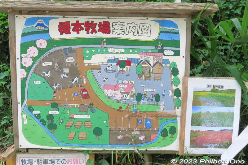 Enomoto Dairy Farm is a real dairy farm with cows and calves to produce dairy products. Their gelato is super popular and really good. Educational for kids to see live cows, what they eat, how they are milked (by machine), and where milk comes from. 
Keywords: Saitama Ageo Enomoto Dairy Farm cows