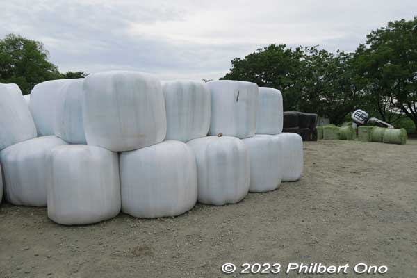 Rolls of hay wrapped in vinyl.
Keywords: Saitama Ageo Enomoto Dairy Farm