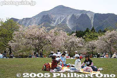 Hitsujiyama Park with weeping cherry blossoms and Mt. Bukosan. 羊山公園
Keywords: saitama chichibu mt. bukosan mountain hitsujiyama park weeping cherry blossoms