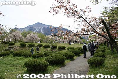 Hitsujiyama Park and Mt. Bukosan.
Keywords: saitama chichibu mt. bukosan mountain hitsujiyama park