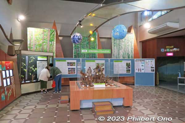 Inside Saitama Nature Study Center with nature exhibits.
Keywords: Saitama Kitamoto Nature Observation Park