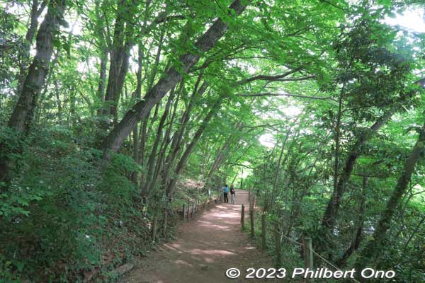 Nature trail.
Keywords: Saitama Kitamoto Nature Observation Park