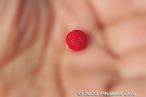 Mini strawberries. Hardly any flavor.
Keywords: Saitama Kitamoto Nature Observation Park