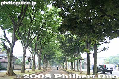 Path to Hikawa Shrine
Keywords: saitama omiya hikawa shrine shinto trees