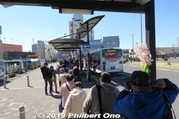 Long line for the bus to Gogendo Park. Unfortunately, the bus got too full to fit me.
Keywords: saitama satte gogendo park sakura cherry blossoms