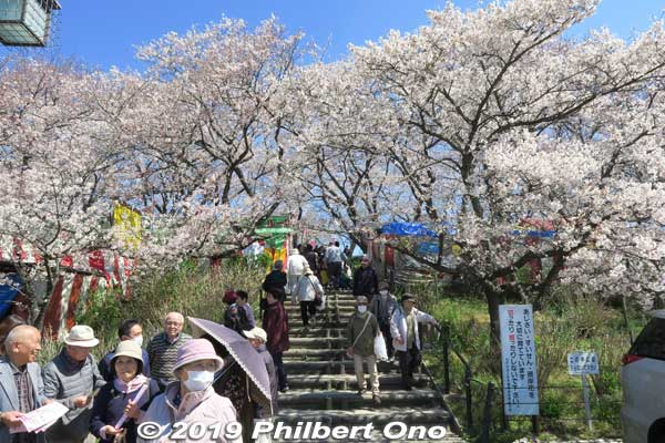 Finally, the entrance to the riverbank lined with cherry blossoms.
Keywords: saitama satte gogendo park sakura cherry blossoms