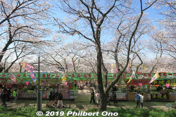 At the foot of the embankment with cherry trees and food stalls. 
Keywords: saitama satte gogendo park sakura cherry blossoms