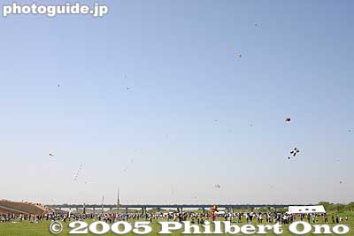 Amateur area
Further downwind was the amateur area for flying normal kites.
Keywords: saitama, showa-machi, kasukabe, giant kite, festival, matsuri, odako