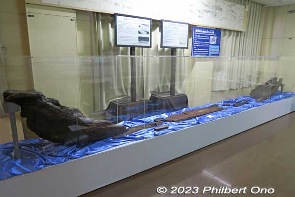 Remains of an ancient dugout canoe excavated from Ayase River in 1929.
Keywords: Saitama Soka-juku post town shukuba