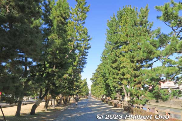 By 1877, Soka-Matsubara had 800+ pine trees. In the 1930s, Soka-Matsubara had over 700 pine trees. However, by the 1960s due to vehicle exhaust fumes, the number of pine trees shrank to 60.
Keywords: Saitama Soka-Matsubara pine trees Oku-no-Hosomichi